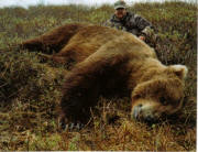 alaska-grizzly-bear-hunt-outfitter