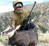 alpine-chamois-hunt-outfitter