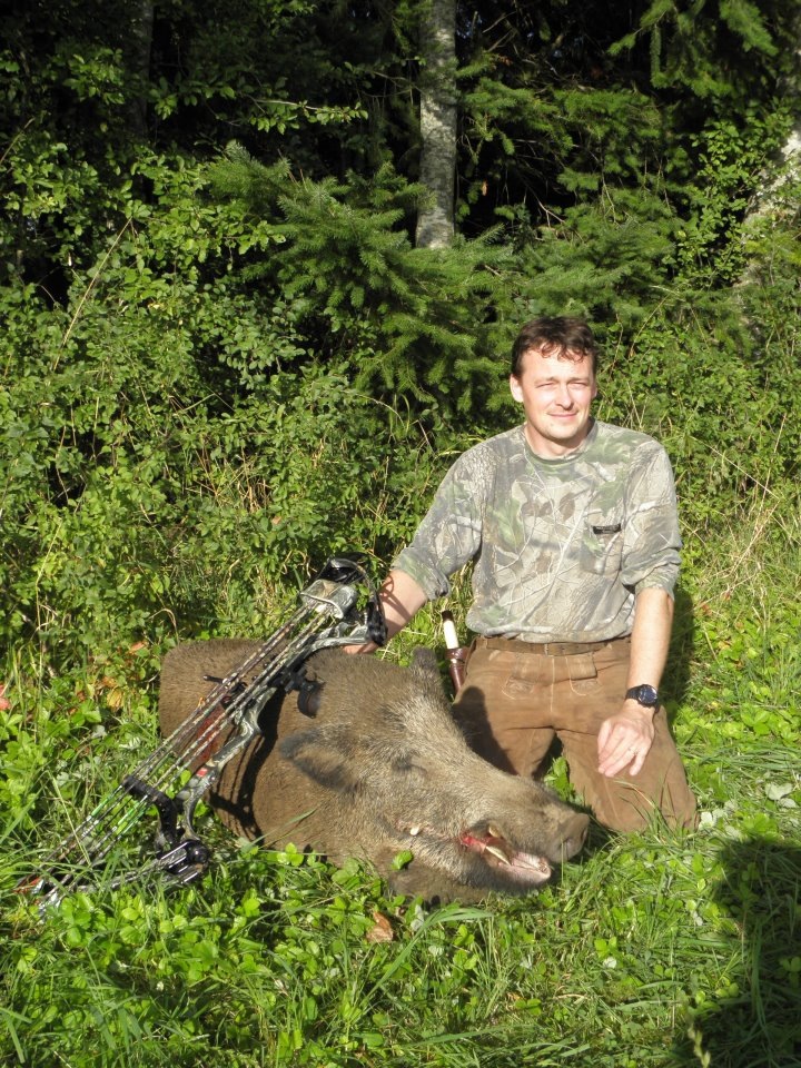 Wild boar hunts south florida