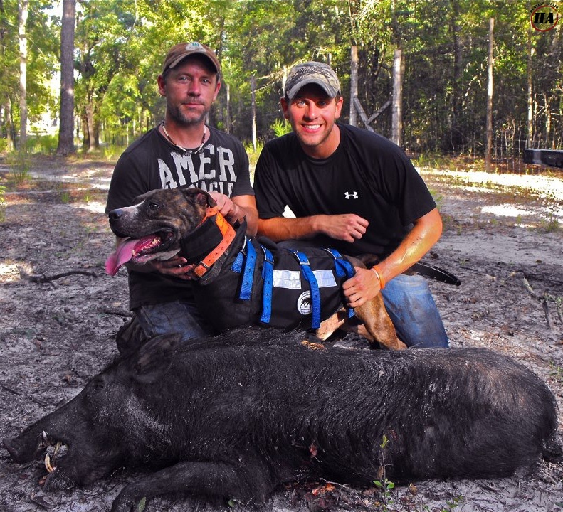 florida-hog-outfitters