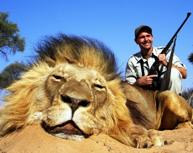 south-african-big-5-lion-hunt-outfitter
