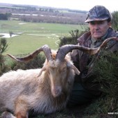 feral-goat-hunt-outfitter