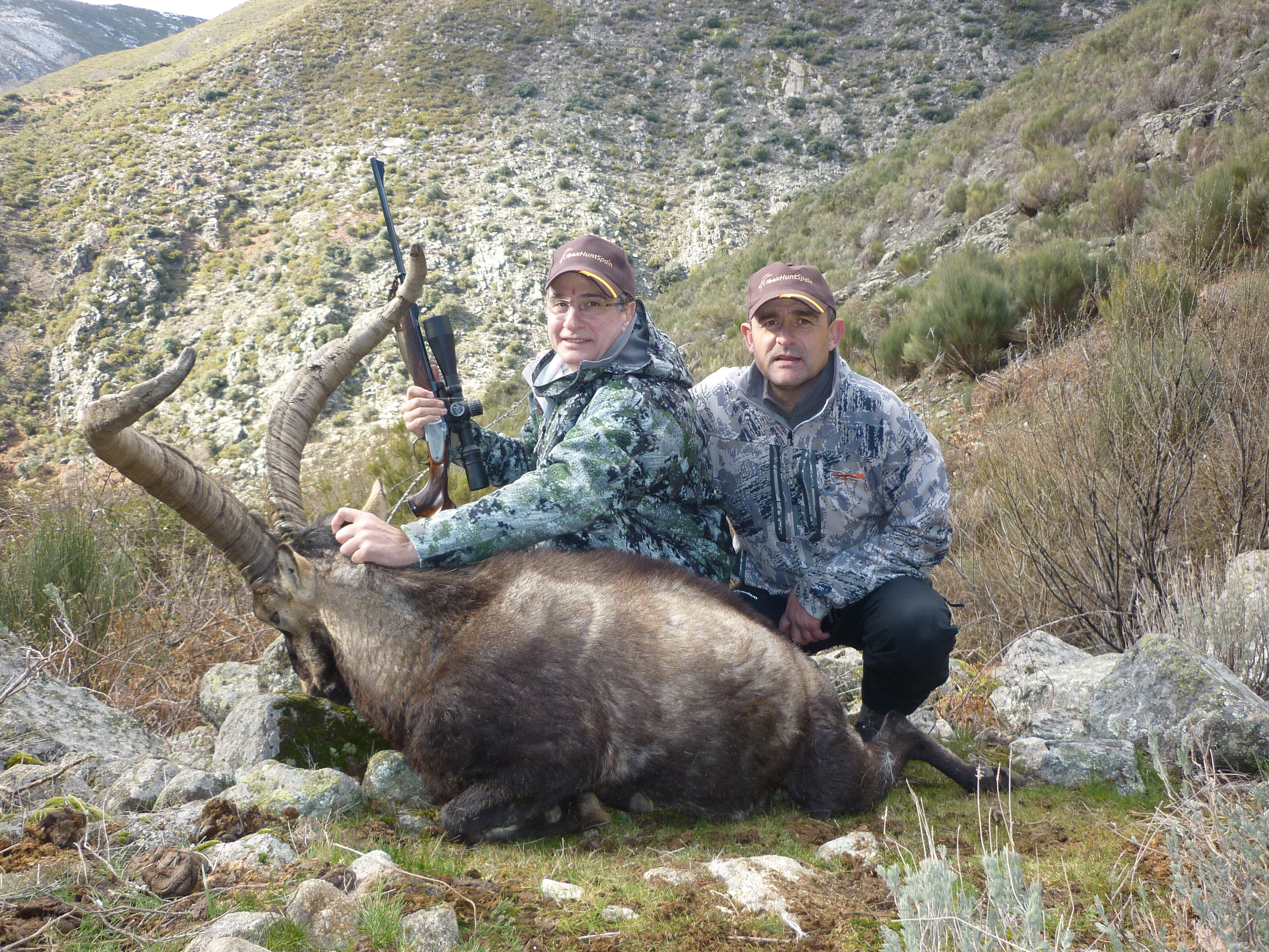 spain gredos ibex hunt outfitter