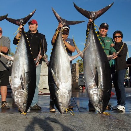 tuna-fishing-charter