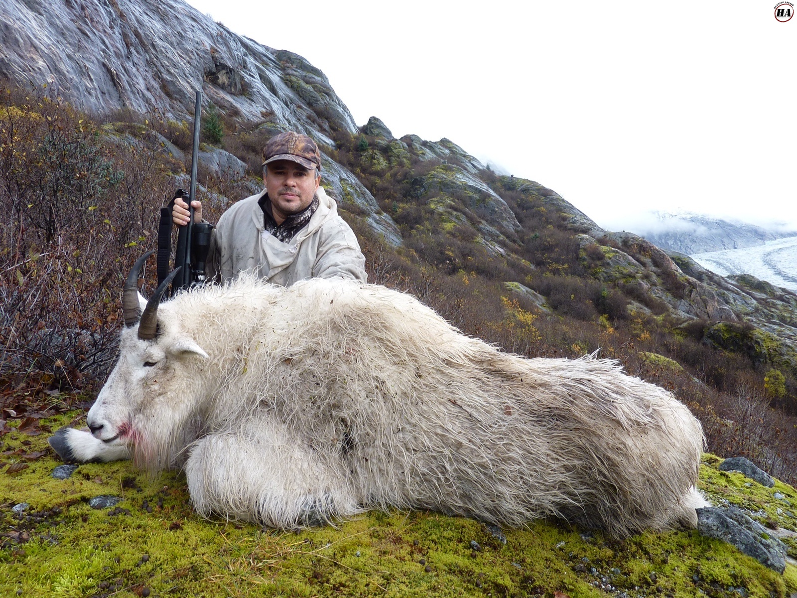 goat mountain hunt hunting prince william sound deer affair hunter hunts yacht based wildlife moose