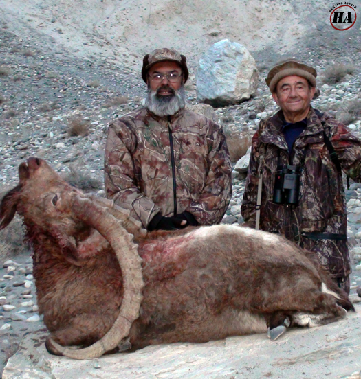 Himalayan Ibex Hunt