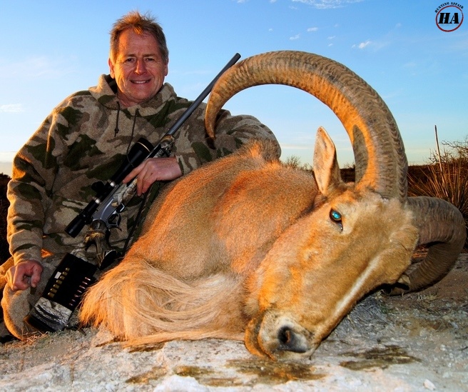 Aoudad Sheep Outfitters