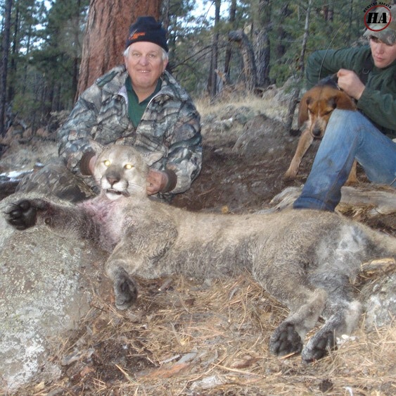 Mountion Lion Hunt Outfitters